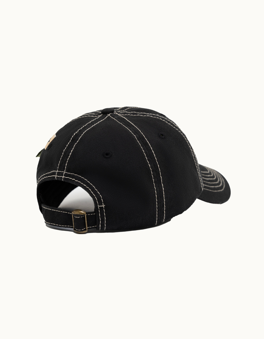 Asics AAAA Cap