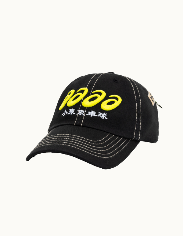 Asics AAAA Cap
